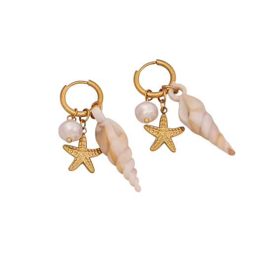 Seashell Earrings